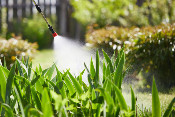 24/7 Emergency Ant Control experts in South Elgin, IL