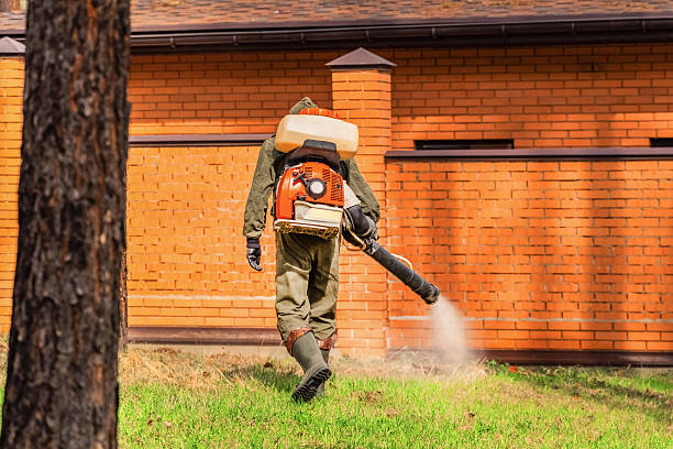 Trusted Emergency Pest Control service in South Elgin, IL - Nex Pest Control